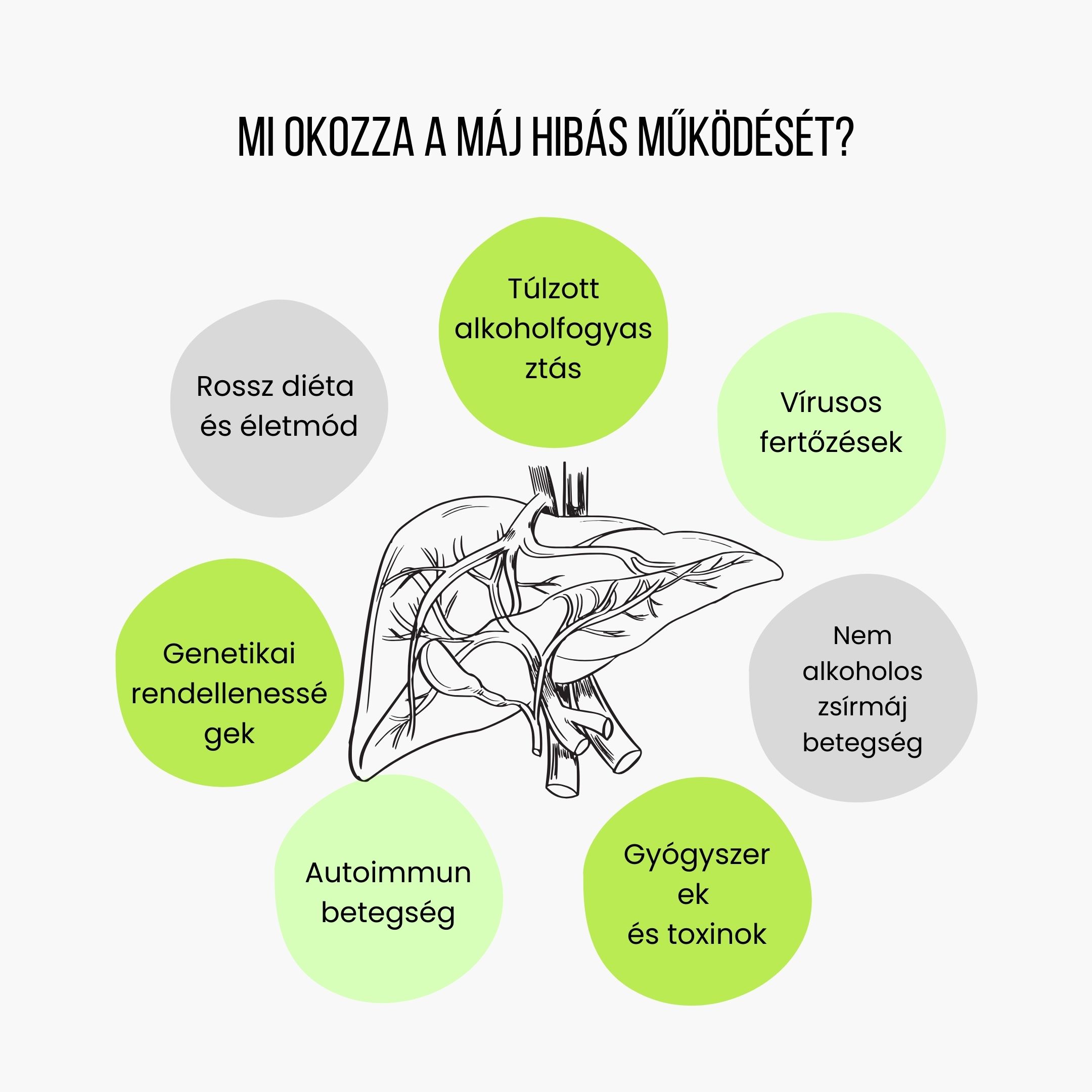 (Maďarština) Co způsobuje špatné fungování jater
